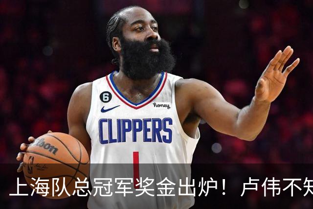 上海队总冠军奖金出炉！卢伟不知道怎么分，张镇麟和王哲林谁多