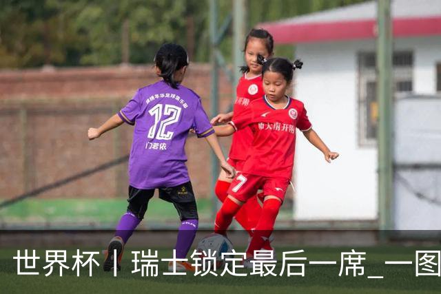 世界杯丨瑞士锁定最后一席 一图速览世界杯8强