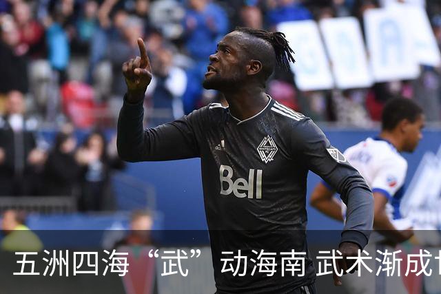 五洲四海“武”动海南 武术渐成世界语言