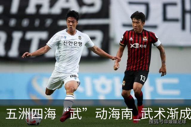 五洲四海“武”动海南 武术渐成世界语言
