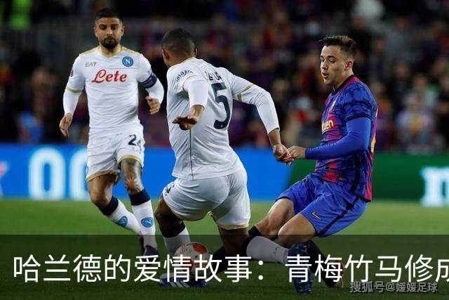 哈兰德的爱情故事：青梅竹马修成正果 女友主动追求他