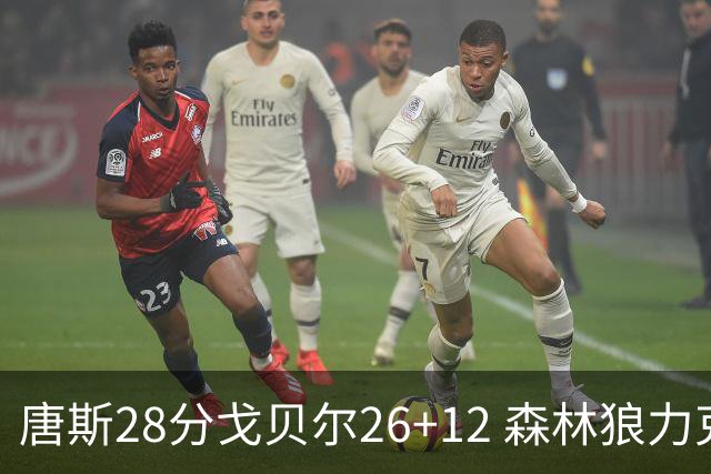 唐斯28分戈贝尔26+12 森林狼力克黄蜂4连胜