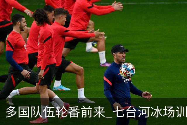 多国队伍轮番前来 七台河冰场训练档期排到9月