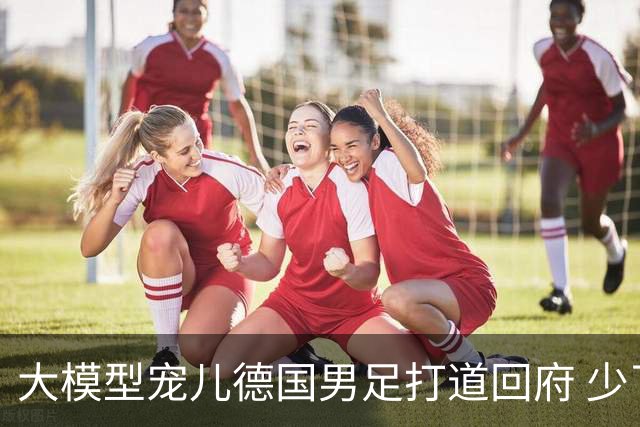 大模型宠儿德国男足打道回府 少了人性观察数据等于废纸