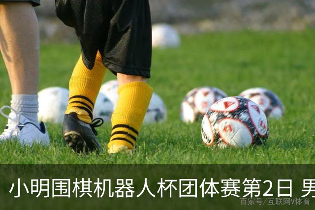 小明围棋机器人杯团体赛第2日 男子乙组北京上海领跑
