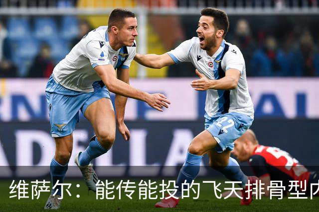 维萨尔：能传能投的飞天排骨型内线 需要大个子的球队不容错过