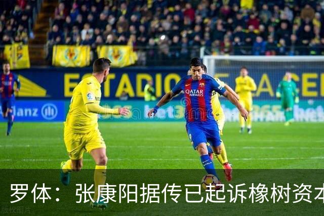 罗体：张康阳据传已起诉橡树资本索赔，诉讼价值可达4.5亿欧元