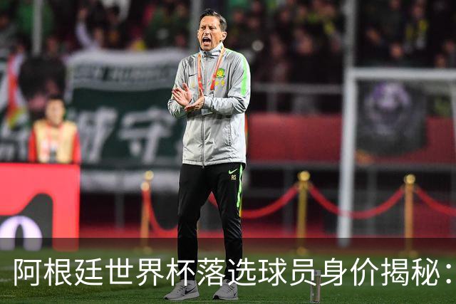 阿根廷世界杯落选球员身价揭秘：马斯坦托诺领衔4500万欧
